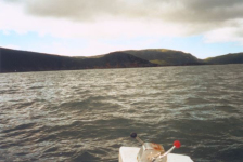 580: Red Island. "Part of the back part (Western side)". (2002) [courtesy of Heather Walsh]